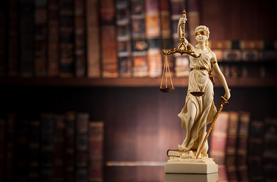 A prominent law firm needed a robust solution to ensure the confidentiality and integrity of sensitive legal documents shared with external parties, preventing accidental disclosures and maintaining compliance with stringent regulations.