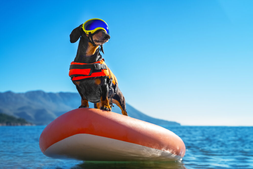 What is Data Detection and Response (DDR)? What is Data Detection and Response (DDR)?